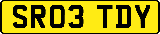 SR03TDY