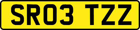 SR03TZZ