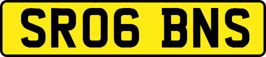 SR06BNS