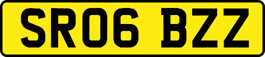 SR06BZZ