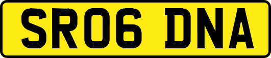 SR06DNA