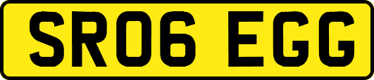 SR06EGG