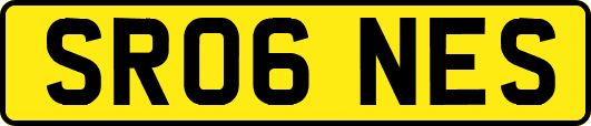 SR06NES