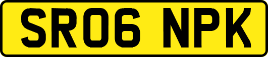 SR06NPK