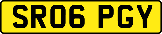 SR06PGY