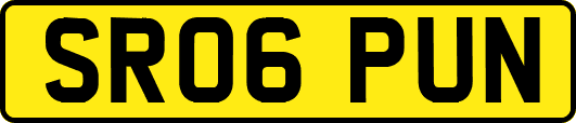 SR06PUN