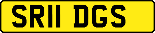 SR11DGS