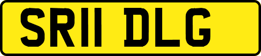 SR11DLG