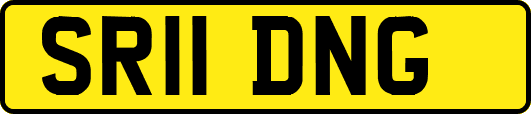 SR11DNG