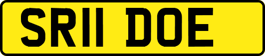 SR11DOE