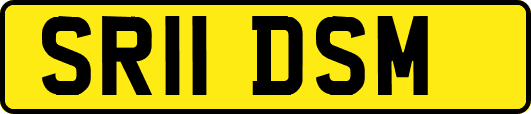 SR11DSM