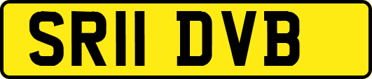 SR11DVB