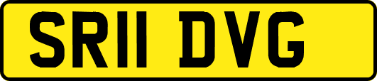 SR11DVG