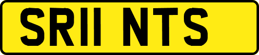 SR11NTS