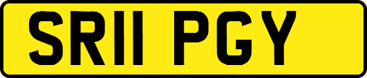 SR11PGY