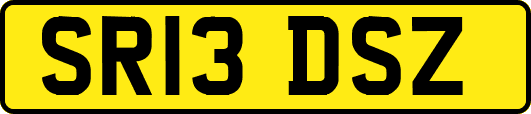 SR13DSZ