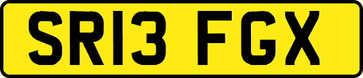 SR13FGX