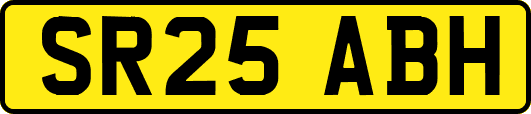 SR25ABH