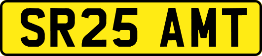 SR25AMT