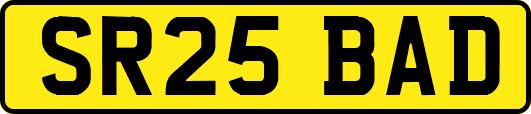 SR25BAD