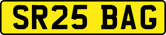 SR25BAG