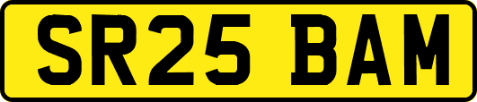 SR25BAM