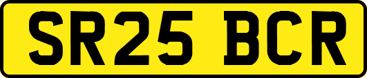 SR25BCR
