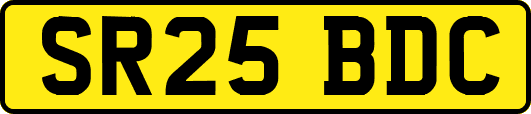 SR25BDC
