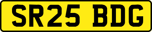 SR25BDG