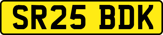 SR25BDK