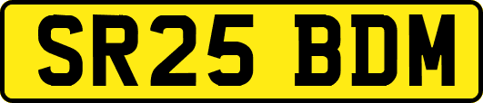SR25BDM