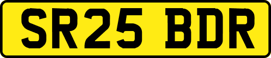 SR25BDR