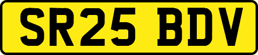 SR25BDV