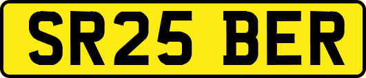 SR25BER