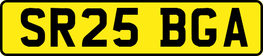 SR25BGA