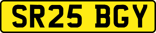 SR25BGY