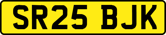 SR25BJK