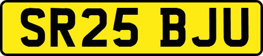 SR25BJU