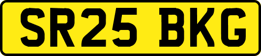 SR25BKG