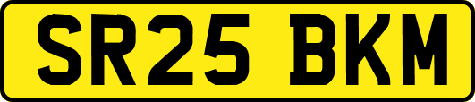 SR25BKM
