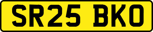 SR25BKO