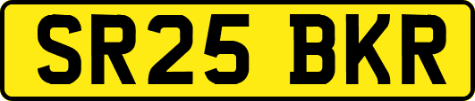 SR25BKR
