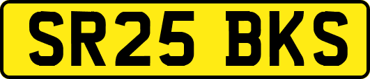 SR25BKS