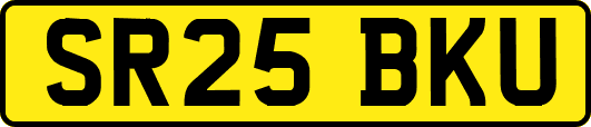 SR25BKU