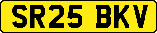 SR25BKV