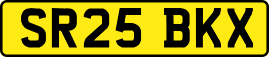 SR25BKX