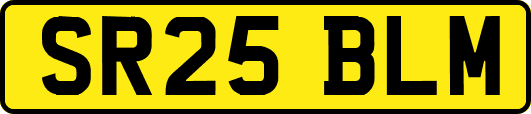 SR25BLM
