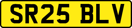 SR25BLV