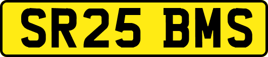SR25BMS