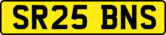 SR25BNS